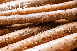 澳网签表出炉！郑钦文袁悦有望第2轮交手，张之臻首轮对阵科雷亚